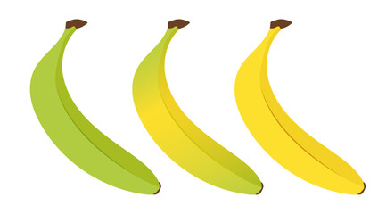 Stages of banana ripening. Tropical fruits in flat style on a white background.