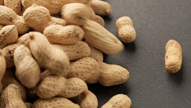 Peanuts in shell falling on black table. Organic food. Pile of roasted peanuts in shell. Healthy nutrition concept.Close-up in 4K, UHD