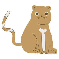 cute little brown cat