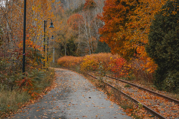 Railroad