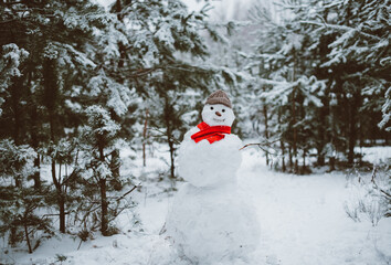 Snowman standing in winter landscape