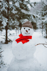 Snowman standing in winter landscape