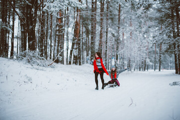 Close up fashion portrait of two sisters hugs and having fun, ride on sled in winter time forest, wearing sweaters and scarfs,best friends couple outdoors, snowy weather