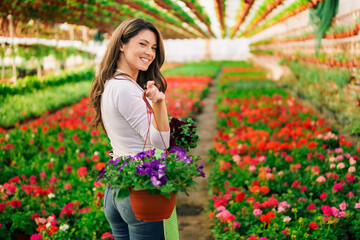 Happy nursery garden worker holding pots with flowers and relocating it.