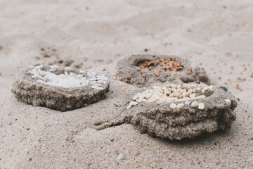 Grains of different cereals in the sand
