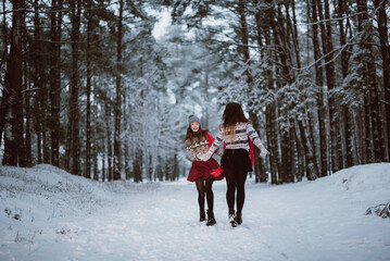 Close up fashion portrait of two sisters hugs and having fun in winter time forest, wearing sweaters and scarfs,best friends couple outdoors, snowy weather