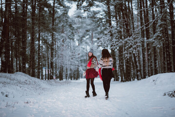 Fototapeta premium Close up fashion portrait of two sisters hugs and having fun in winter time forest, wearing sweaters and scarfs,best friends couple outdoors, snowy weather