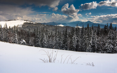 Panoramic landscape of the snow-capped mountain peaks on a sunny winter day. Carpathian mountains range. Europe.