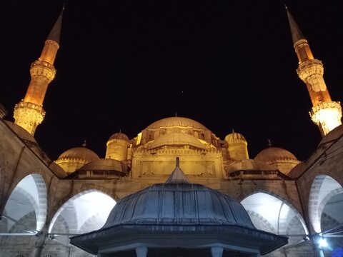 blue mosque city