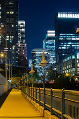Bridge and nighttime cityscape