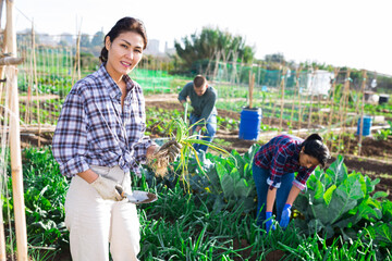 Positive asian woman working in garden beds on summer day, gathering crop of organic scallions