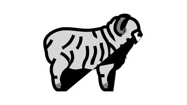 merino sheep color icon animation