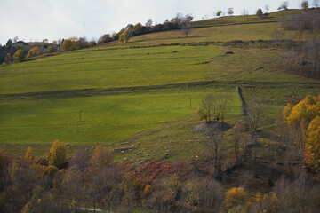 Beautiful view of autumn mountains forest against a blue cloudy sky in Spain on a sunny day