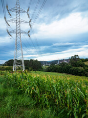 Obraz premium High tension tower placed in a corn field with the power lines flying over the fields from the power plant in the background, energy and economy concept.