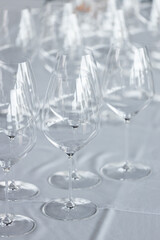 red or white wine glasses on the table during a wine testing