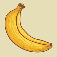 Banana. Yellow banana on background. Illustration of tropical fruit in hand-drawn style for different designs.
