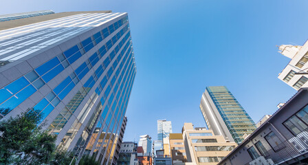 Fototapeta premium 朝日が綺麗な東京のビル群