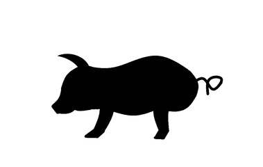 silhouette of a pig