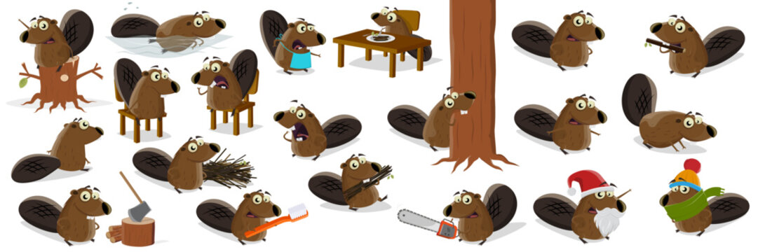 big funny cartoon beaver collection