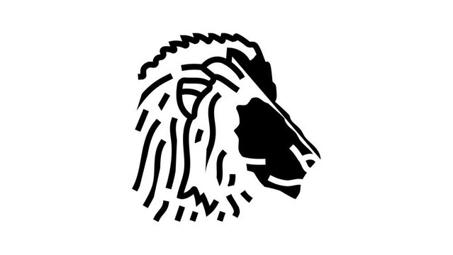 lion animal zoo line icon animation