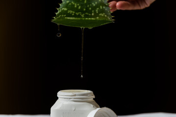 person draining the juice of an Aloe Vera leaf over a plastic container
