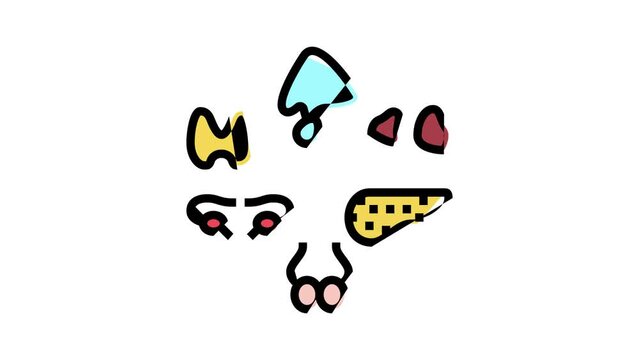 gland human organ color icon animation