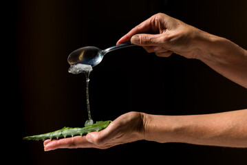 person dropping Aloe Vera pulp on a leaf in their hand