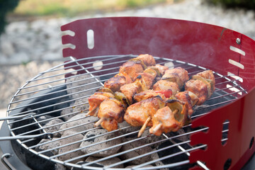 summer picnic with barbecue marinated chicken skewers with grilled vegetables