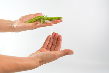 person placing Aloe Vera pulp on their hands with a cut leaf