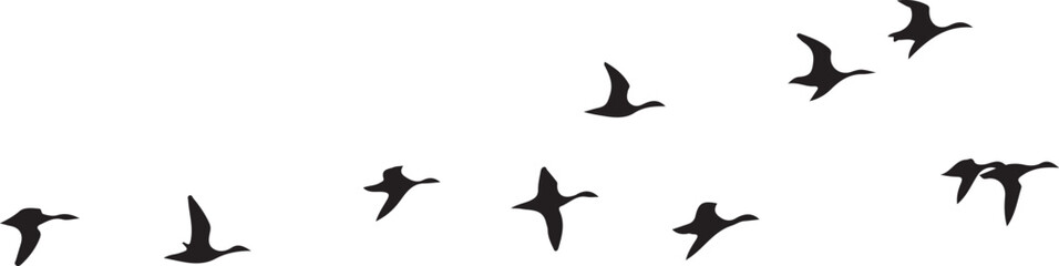 Flock of Ducks in Flight Silhouette