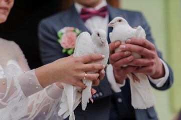 A pair of white doves in the hands of the newlyweds. Bride and groom holding doves at the ceremony