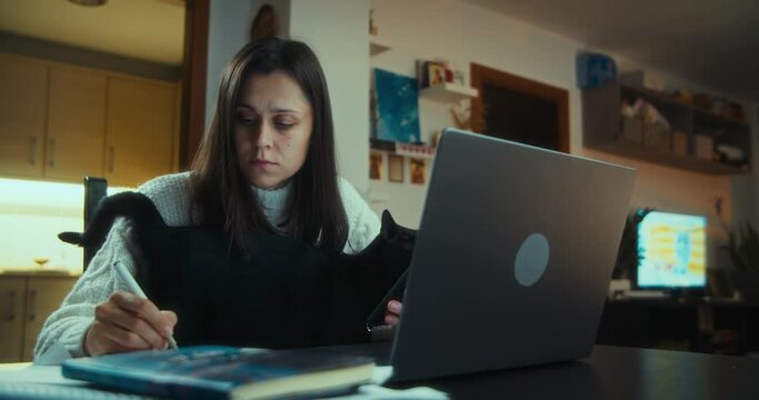 Freelance woman work at night in home with computer and stroking domestic cat