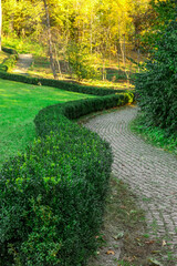Obraz premium View of beautiful alley and green bushes in autumn park