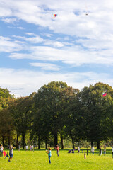 children playing with kite