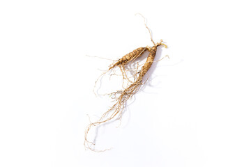 Wild Korean ginseng. Wild Ginseng has been used in best traditional medicine