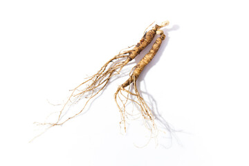 Wild Korean ginseng. Wild Ginseng has been used in best traditional medicine