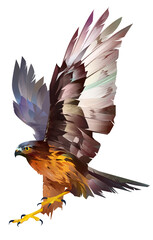 drawn bright bird hawk on a white background - 550729563