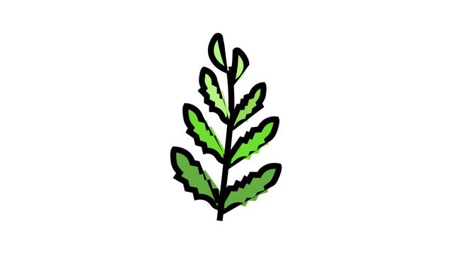 african water fern color icon animation