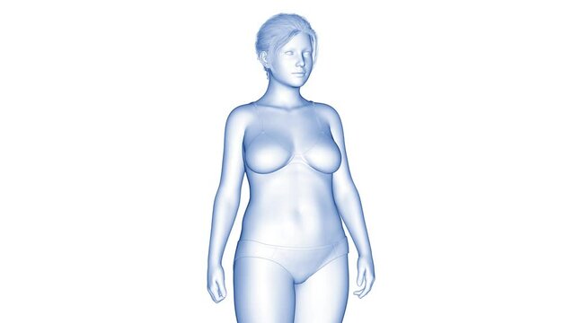 3d rendered medical animation of a woman's fitness transformation