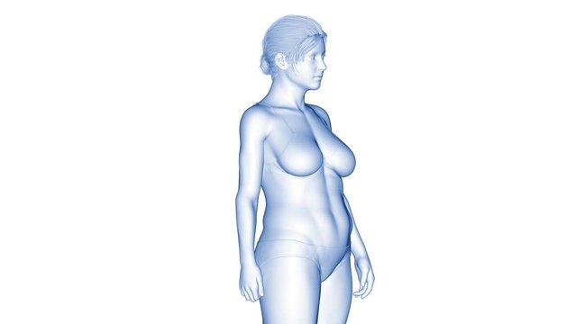 3d rendered medical animation of a woman's fitness transformation