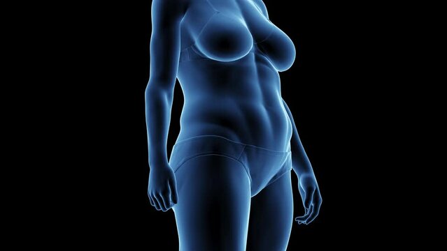 3d rendered medical animation of a woman's transition from fat to fit