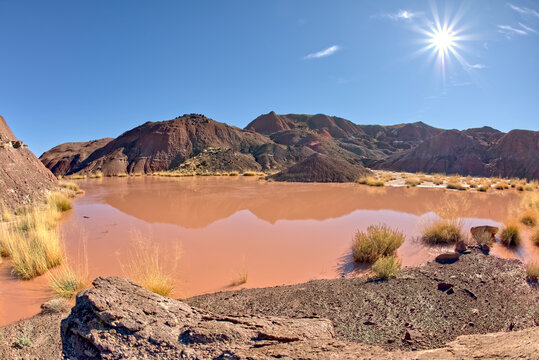 Tiponi Flats at Petrified Forest AZ