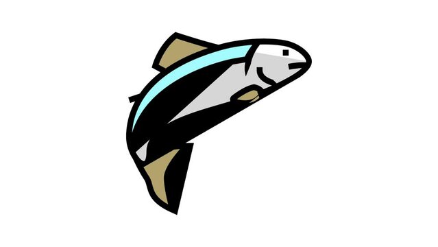 salmon fish color icon animation