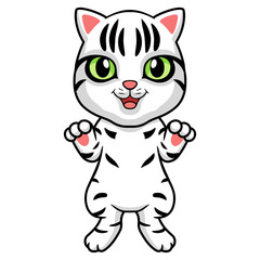 Obraz na płótnie Canvas Cute american short hair cat cartoon standing