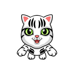 Obraz na płótnie Canvas Cute american short hair cat cartoon flying