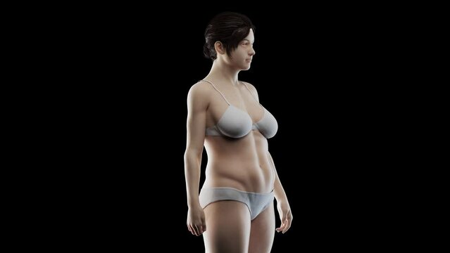 3d rendered medical animation of a woman's transition to a fitter body