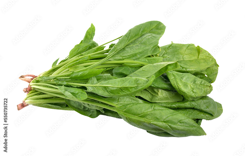 Canvas Prints spinach on transparent png