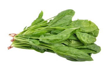 spinach on  transparent png - 550735722