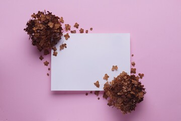 Dried hortensia flowers and sheet of paper on pink background, flat lay. Space for text