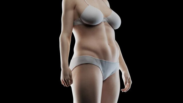 3d rendered medical animation of a woman's transition to a fitter body